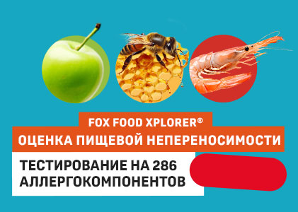 Food explorer